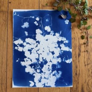 Cyanotype