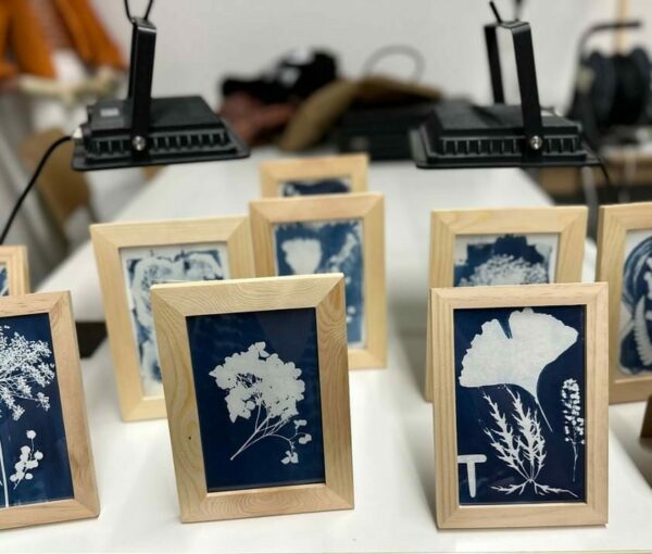 Cyanotype – Image 2